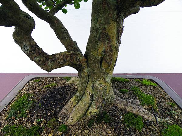 DSCF0389.JPG DSCF0389.JPG