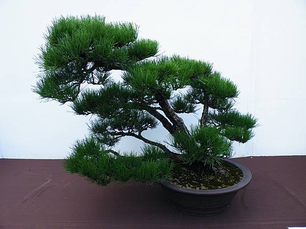 DSCF0390.JPG DSCF0390.JPG