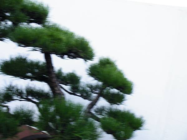 DSCF0392.JPG DSCF0392.JPG