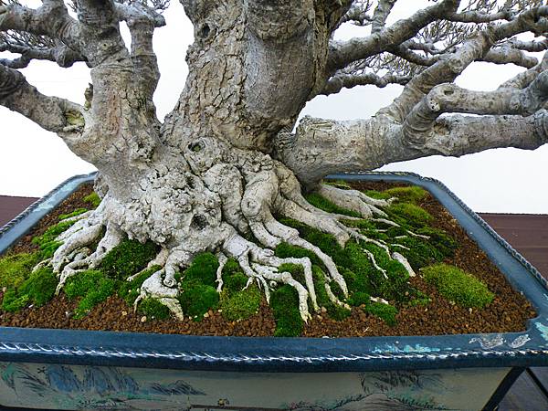 DSCF0401.JPG DSCF0401.JPG