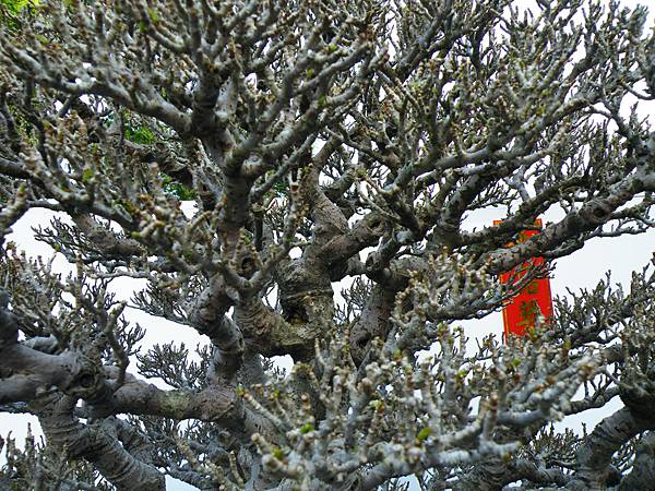 DSCF0402.JPG DSCF0402.JPG