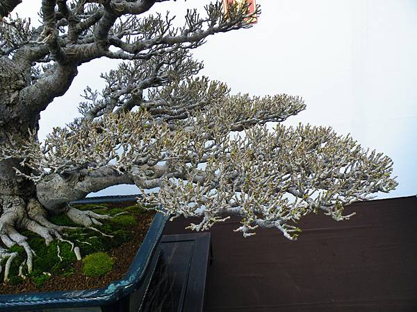 DSCF0404.JPG DSCF0404.JPG