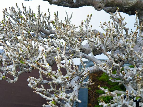 DSCF0406.JPG DSCF0406.JPG