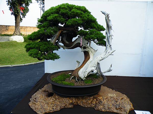 DSCF0407.JPG DSCF0407.JPG