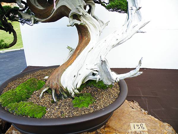 DSCF0408.JPG DSCF0408.JPG