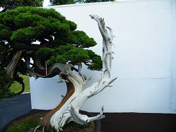 DSCF0409.JPG DSCF0409.JPG