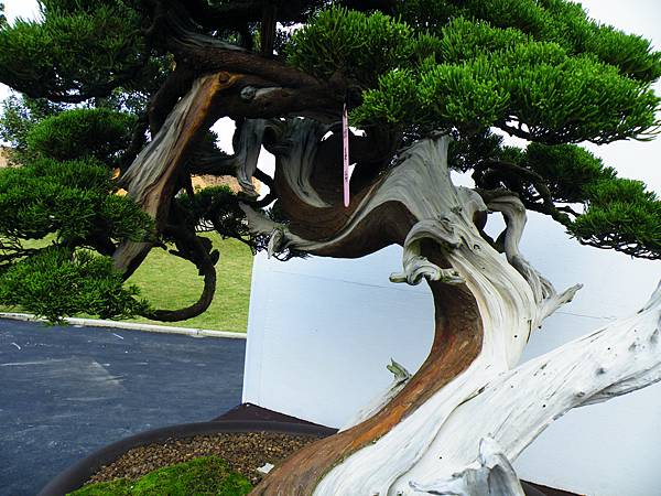 DSCF0410.JPG DSCF0410.JPG