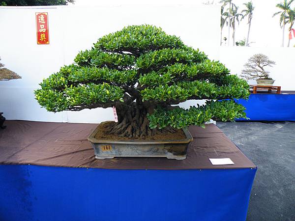 DSCF0412.JPG DSCF0412.JPG