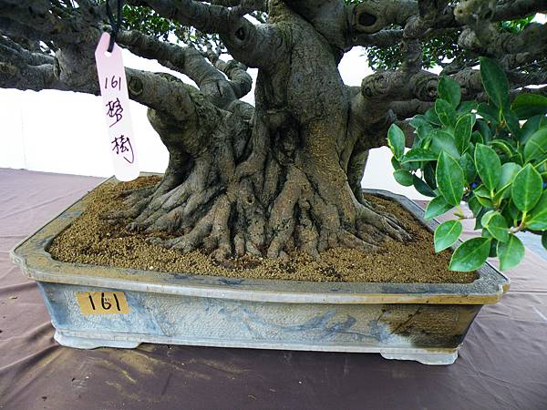 DSCF0413.JPG DSCF0413.JPG