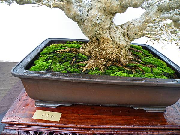 DSCF0416.JPG DSCF0416.JPG