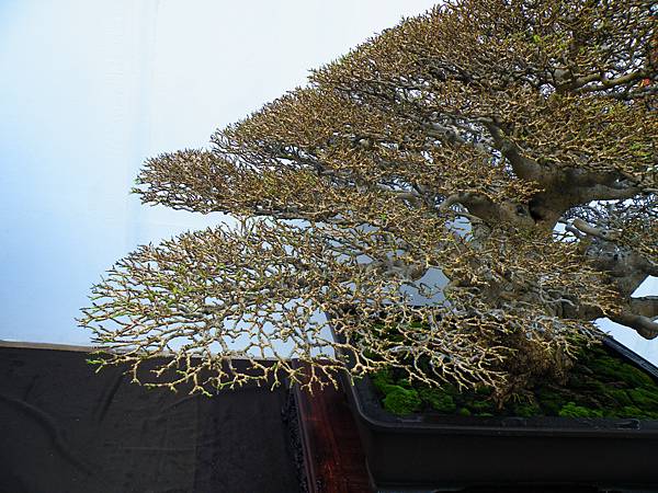 DSCF0419.JPG DSCF0419.JPG