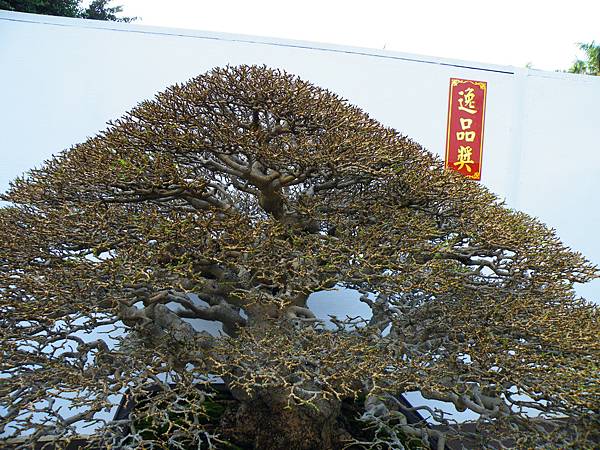 DSCF0420.JPG DSCF0420.JPG