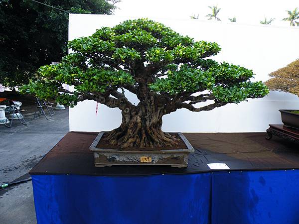 DSCF0421.JPG DSCF0421.JPG