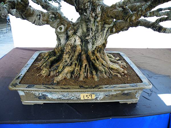 DSCF0422.JPG DSCF0422.JPG