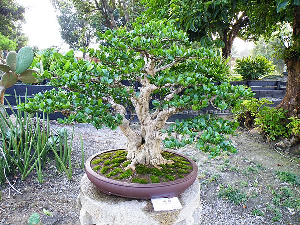 DSCF0428.JPG DSCF0428.JPG