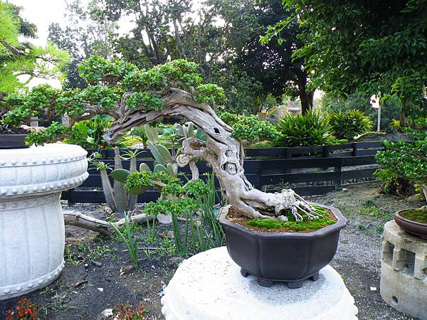 DSCF0430.JPG DSCF0430.JPG