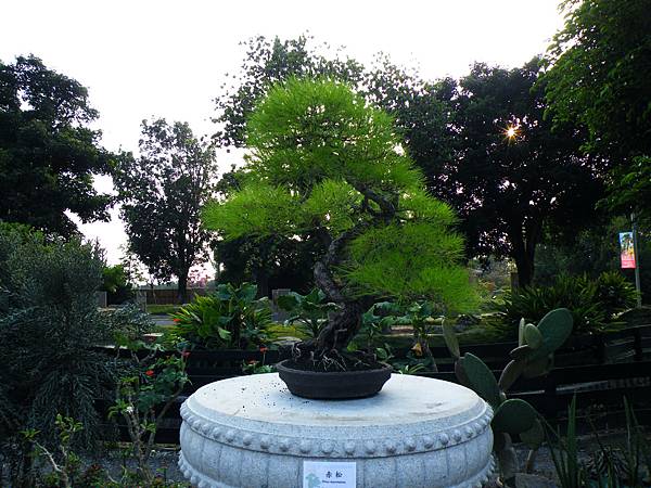 DSCF0431.JPG DSCF0431.JPG