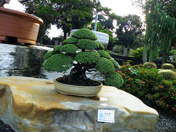 DSCF0433.JPG DSCF0433.JPG