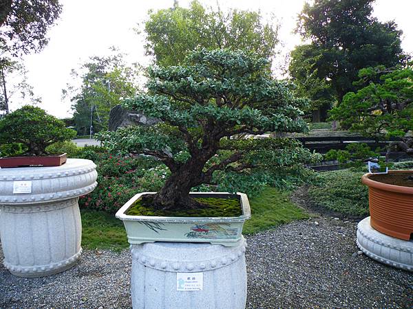 DSCF0434.JPG DSCF0434.JPG