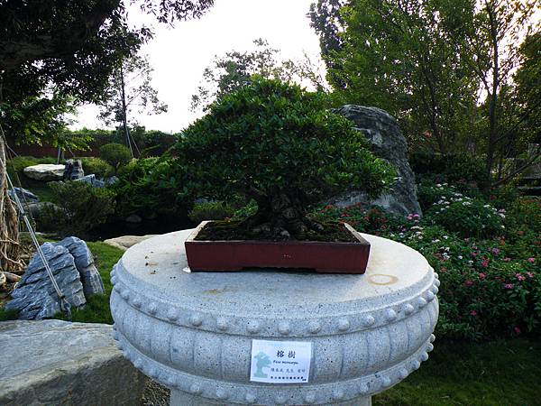 DSCF0435.JPG DSCF0435.JPG