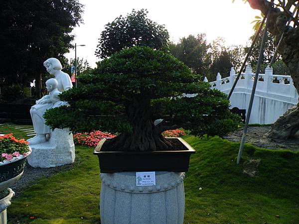 DSCF0436.JPG DSCF0436.JPG