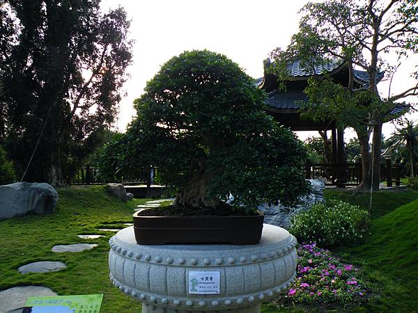 DSCF0437.JPG DSCF0437.JPG