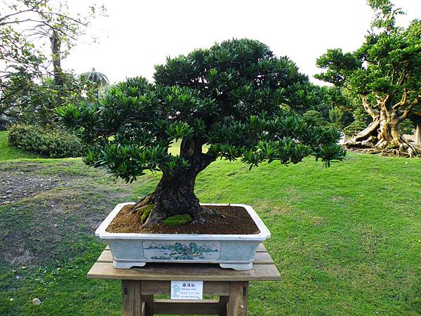 DSCF0440.JPG DSCF0440.JPG