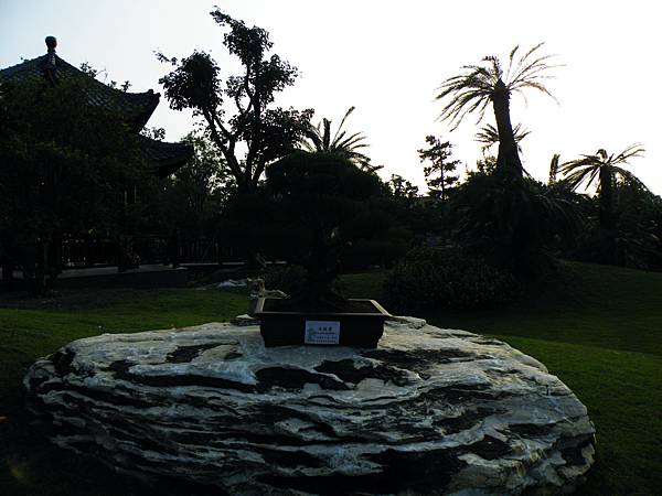 DSCF0442.JPG DSCF0442.JPG