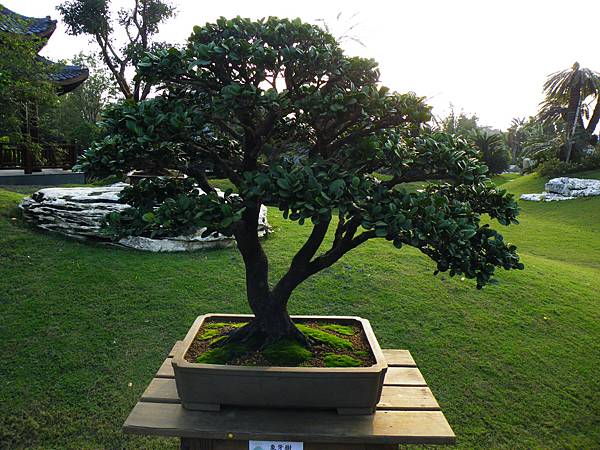 DSCF0443.JPG DSCF0443.JPG