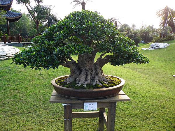 DSCF0444.JPG DSCF0444.JPG