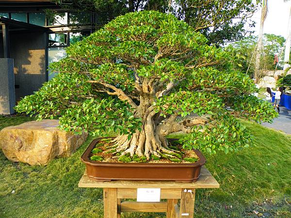 DSCF0447.JPG DSCF0447.JPG