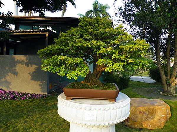 DSCF0448.JPG DSCF0448.JPG