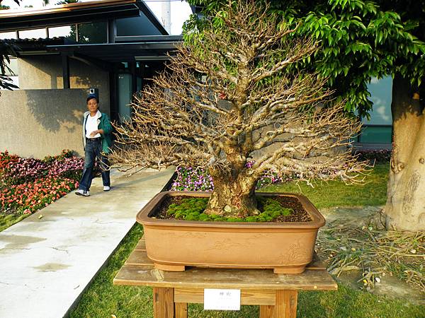 DSCF0450.JPG DSCF0450.JPG