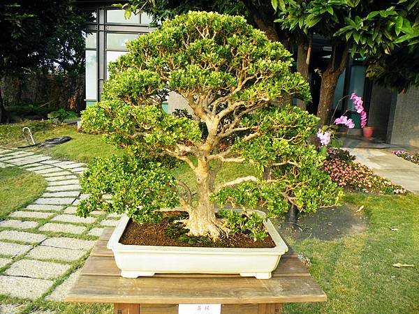 DSCF0451.JPG DSCF0451.JPG