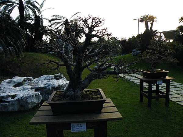 DSCF0452.JPG DSCF0452.JPG