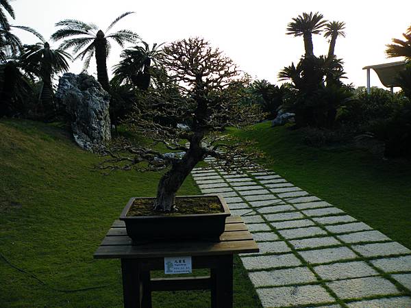 DSCF0453.JPG DSCF0453.JPG