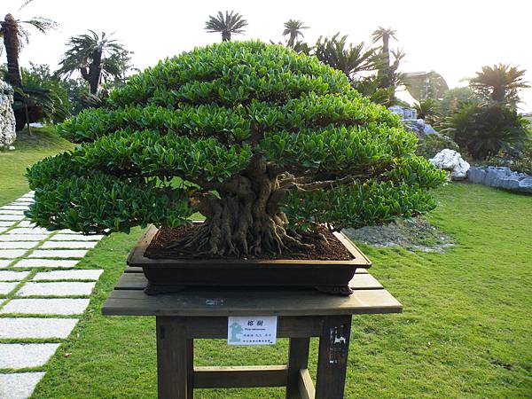 DSCF0454.JPG DSCF0454.JPG