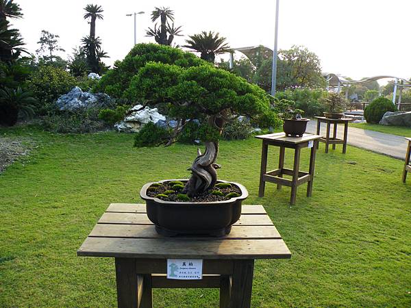 DSCF0457.JPG DSCF0457.JPG