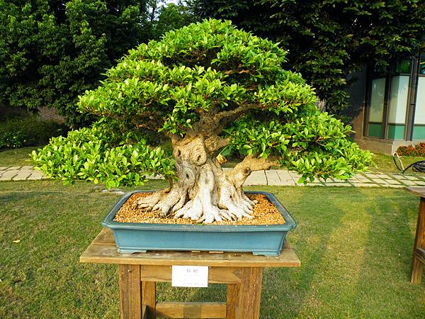 DSCF0458.JPG DSCF0458.JPG