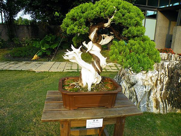 DSCF0459.JPG DSCF0459.JPG