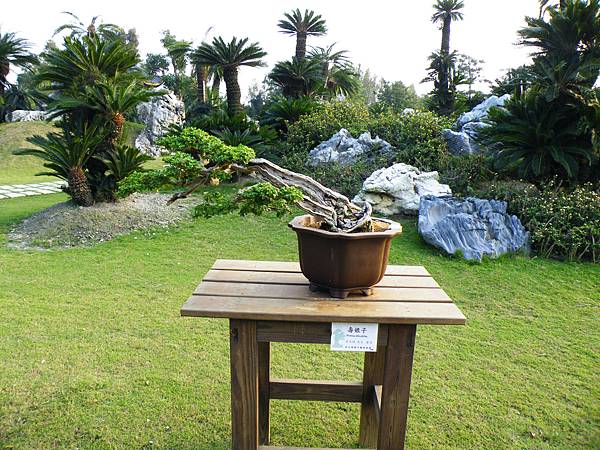 DSCF0460.JPG DSCF0460.JPG