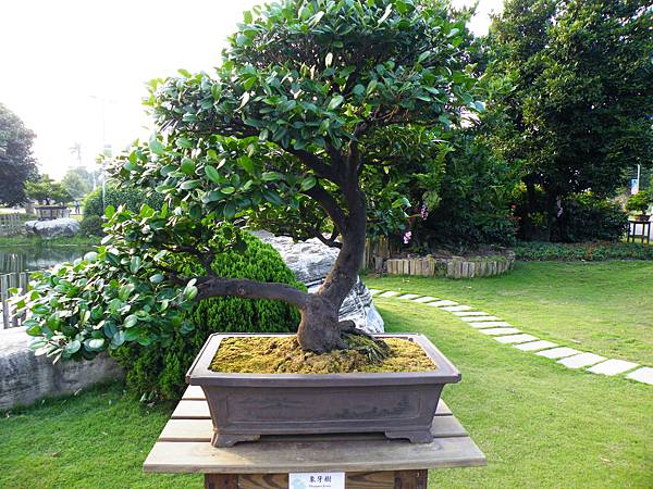 DSCF0463.JPG DSCF0463.JPG