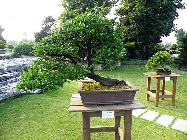 DSCF0464.JPG DSCF0464.JPG