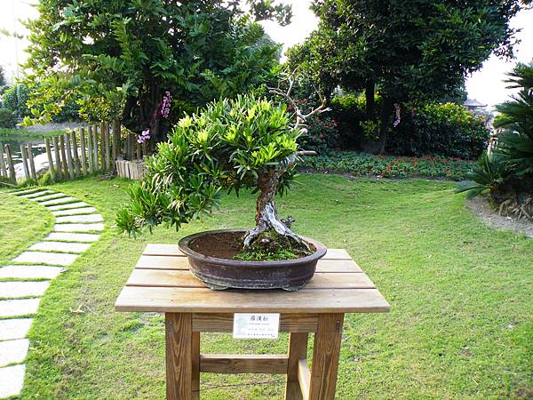 DSCF0465.JPG DSCF0465.JPG