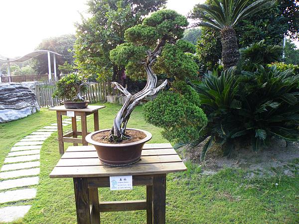 DSCF0466.JPG DSCF0466.JPG