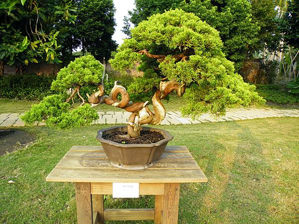 DSCF0467.JPG DSCF0467.JPG