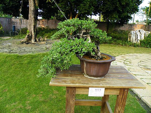 DSCF0468.JPG DSCF0468.JPG