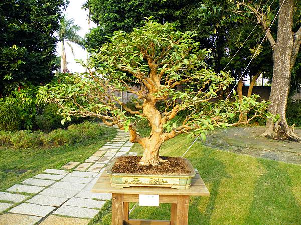 DSCF0469.JPG DSCF0469.JPG