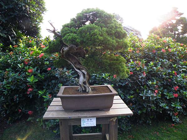 DSCF0470.JPG DSCF0470.JPG