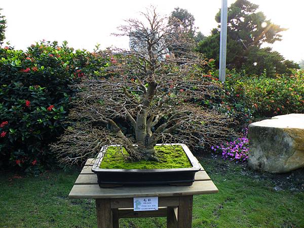 DSCF0471.JPG DSCF0471.JPG